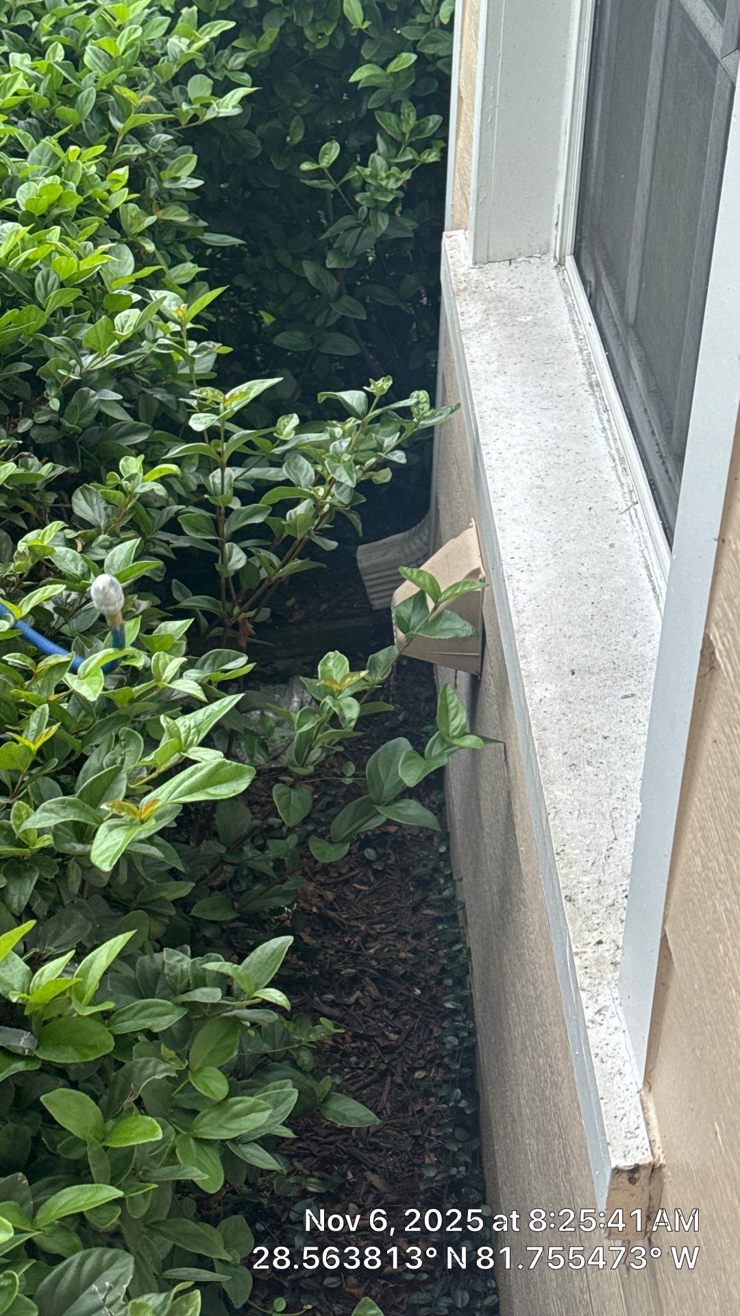 Dryer Vent Cleaning in Clermont by Hygienic Air, Inc