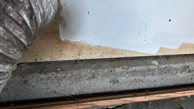 Project in Arvada