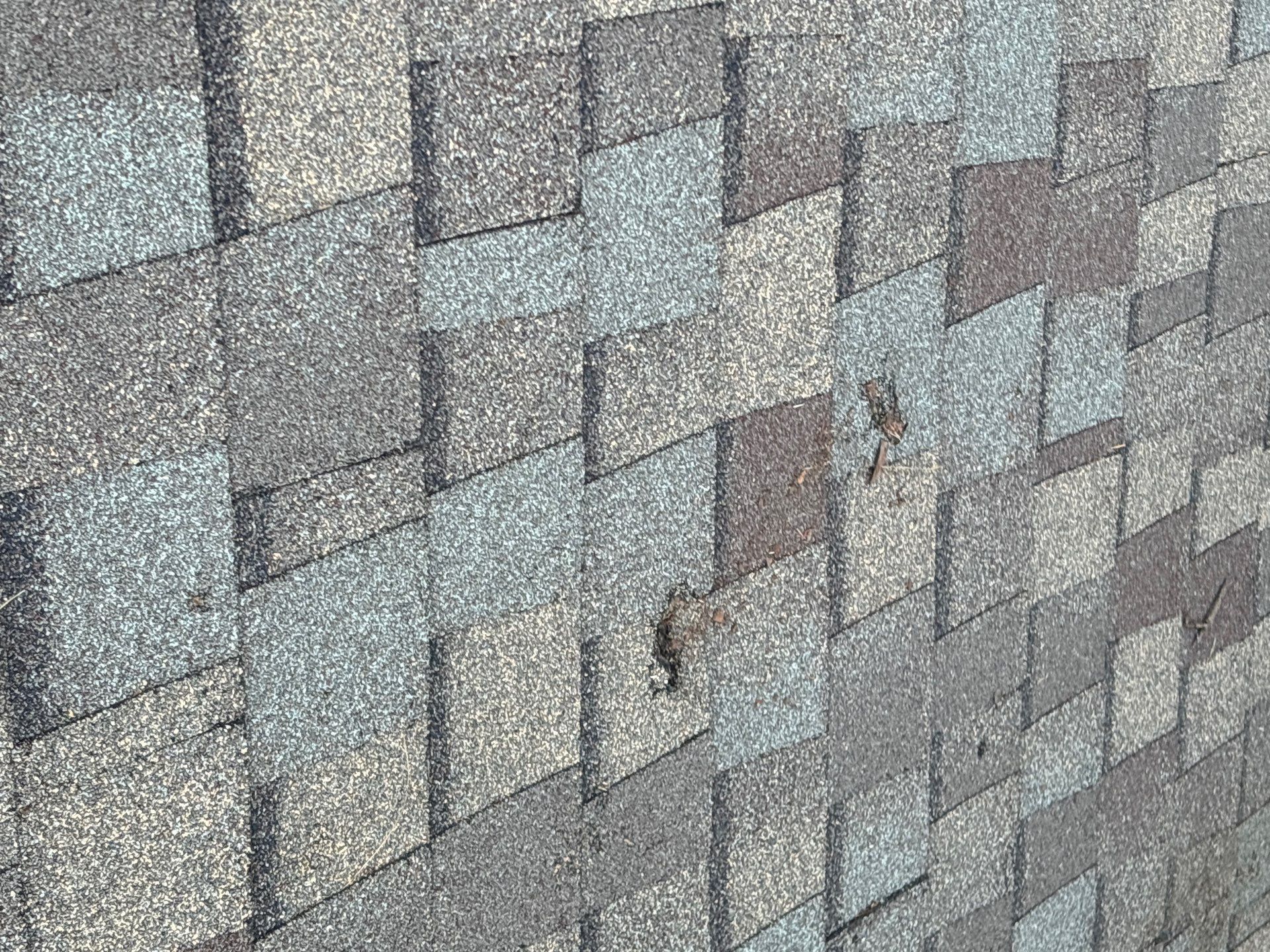 Roof Repair Spring by Roof Repair Company