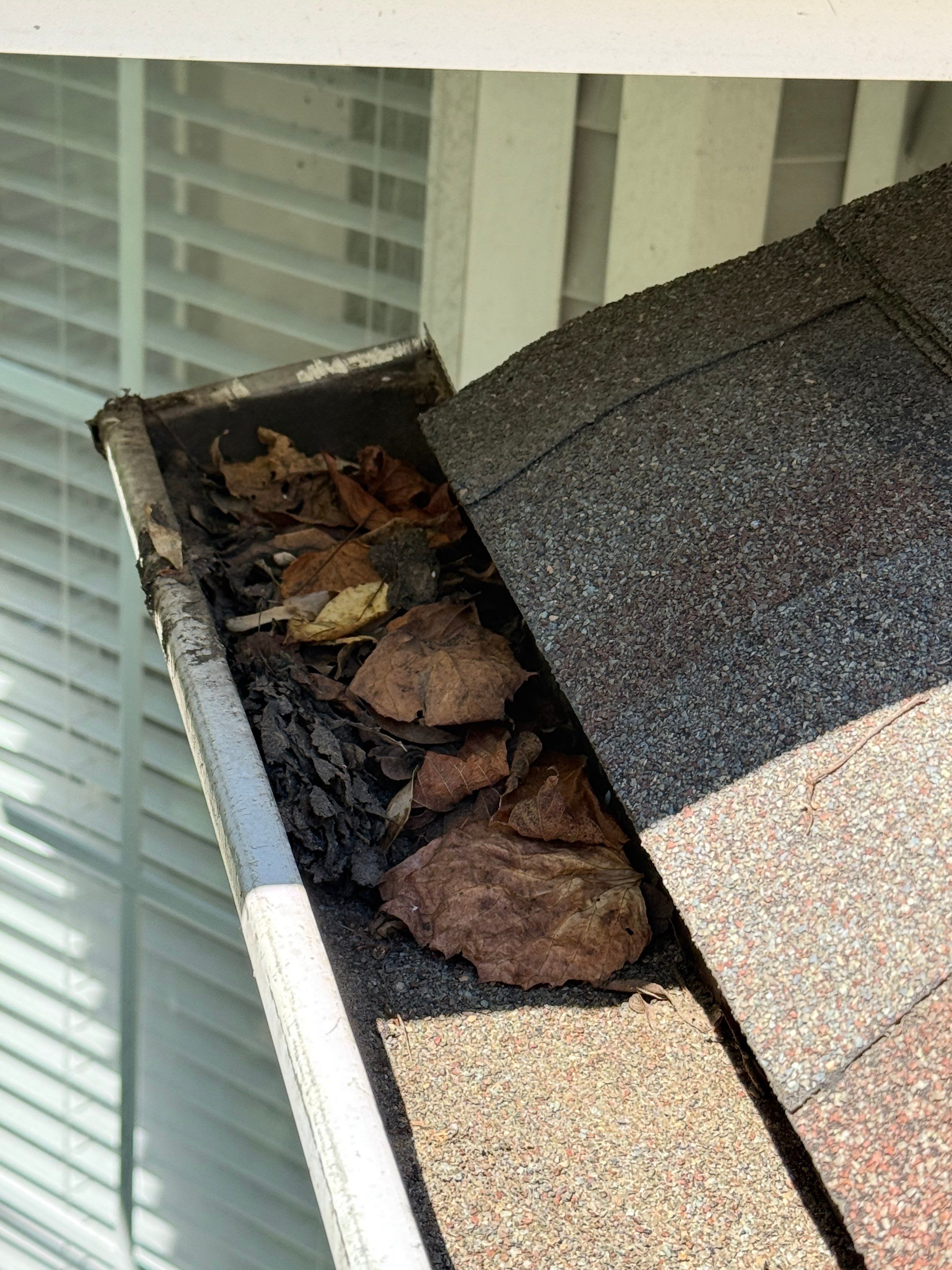 Commercial gutter cleaning Lebanon, TN before photo with filled gutters