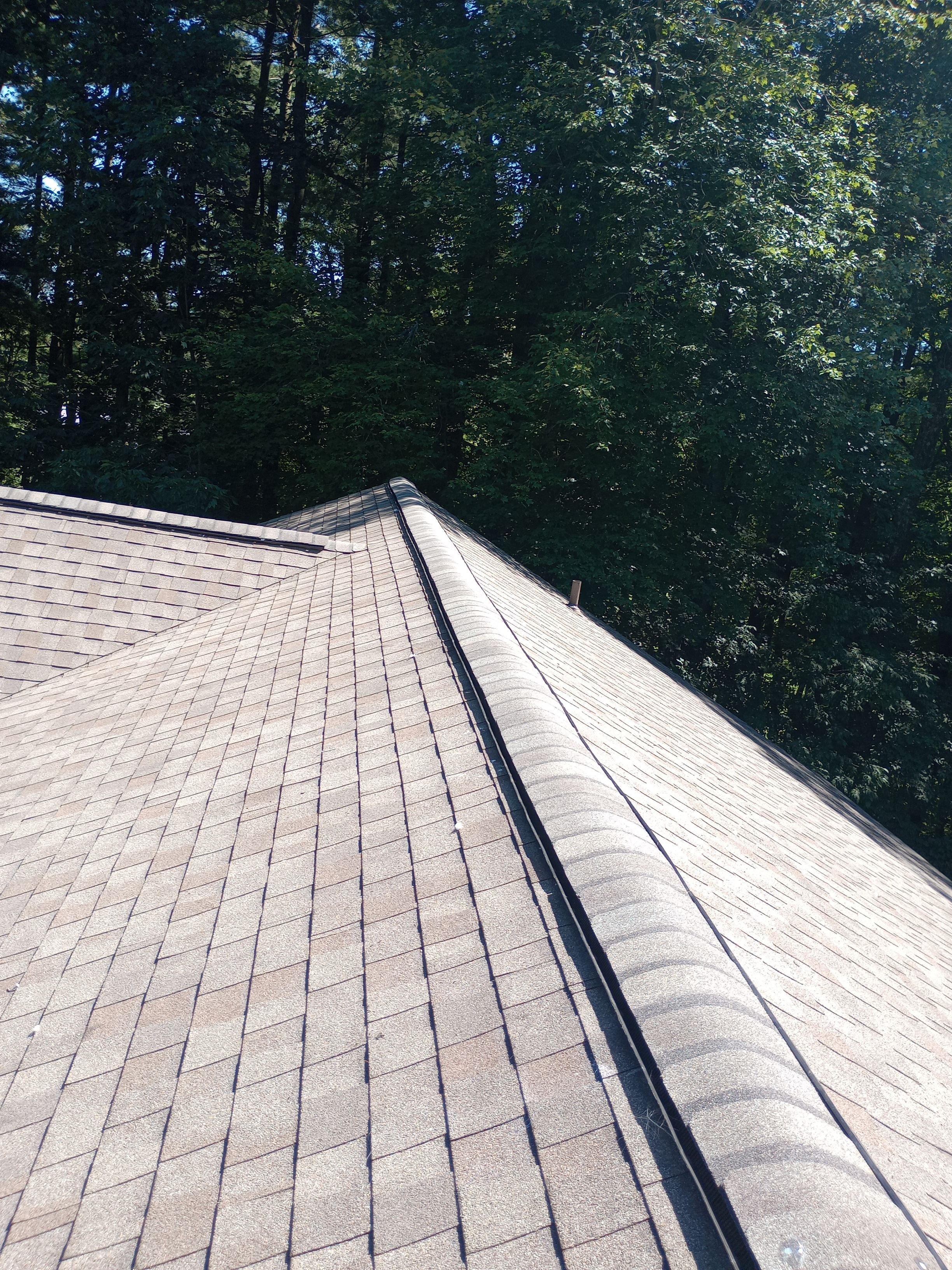 Linda Bertle by Silver Leaf Contracting 