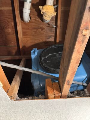 Mold in Crawl Space in Broomfiled, CO
