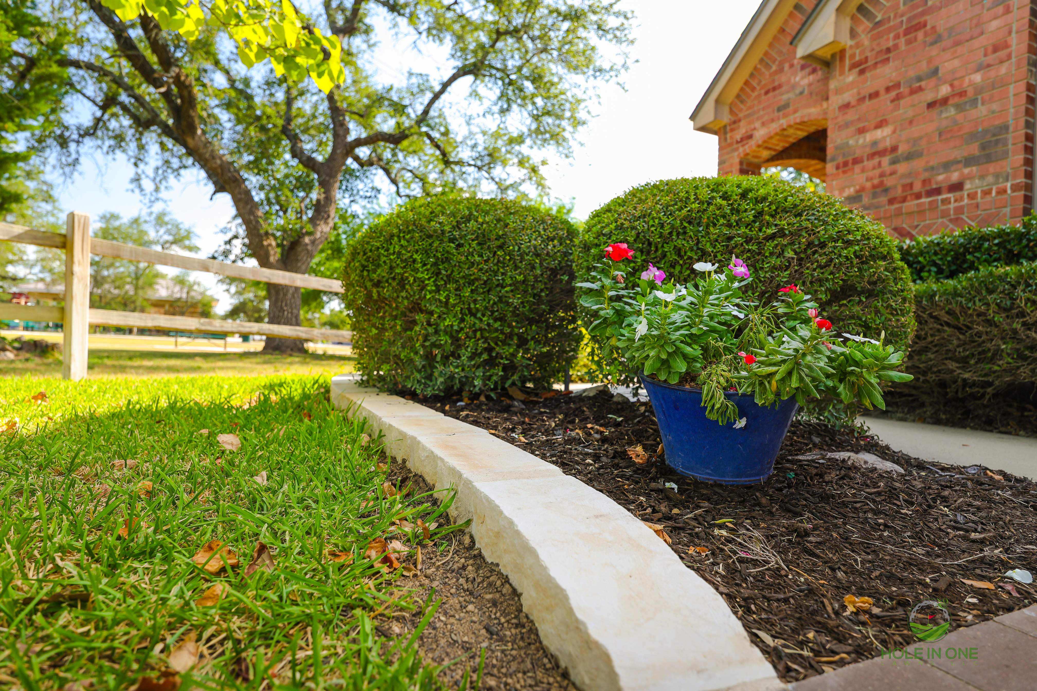 Wortham Oak, San Antonio TX by Hole In One Lawns, LLC