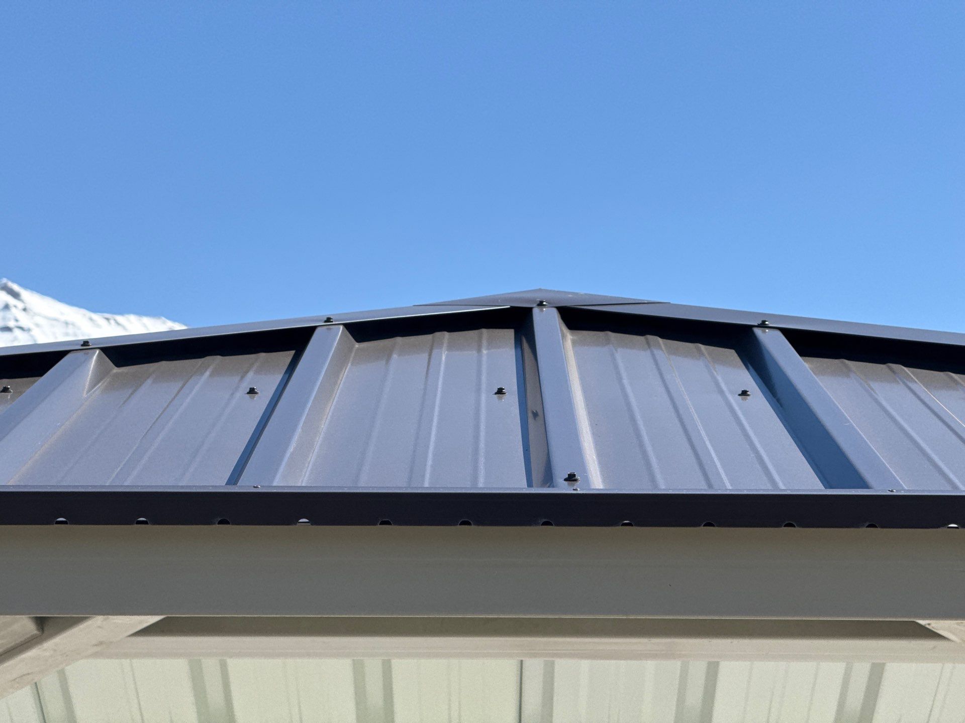 Dark Bronze Exposed Fastener by Reimagine Roofing