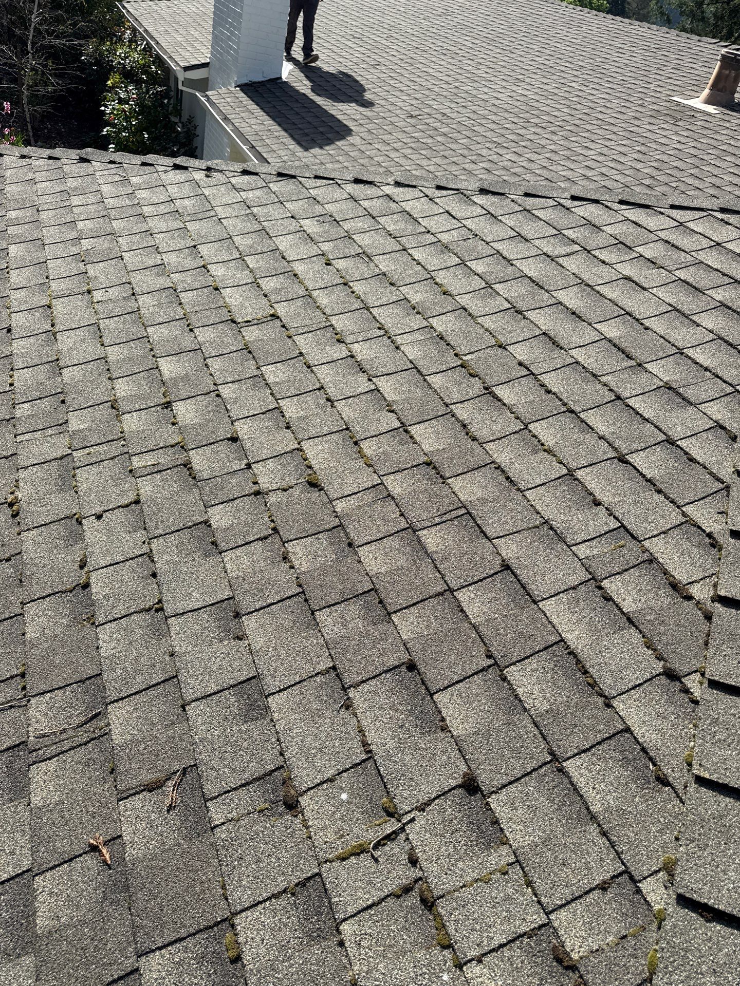 Soft Wash by Top Elevation