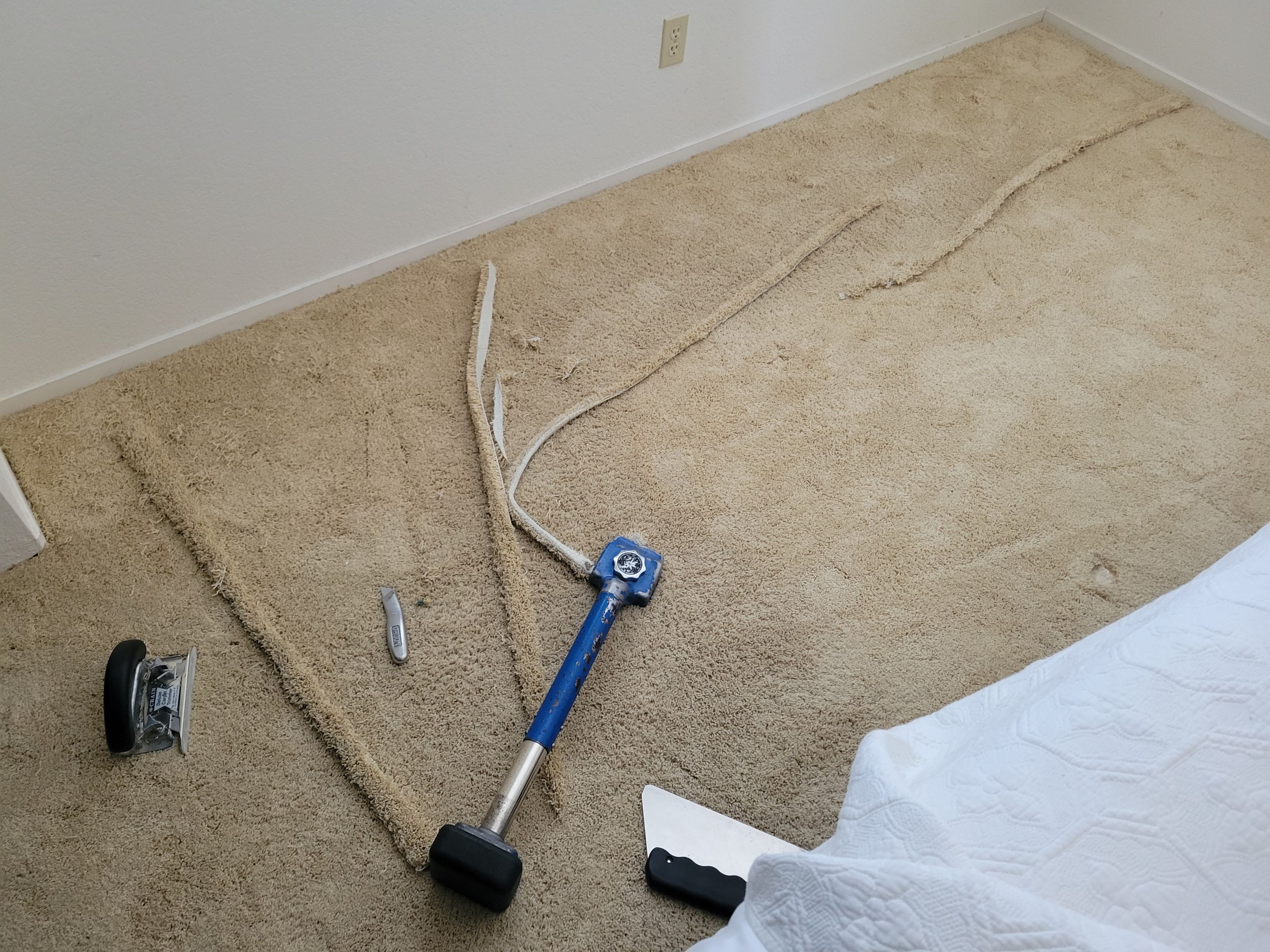 Carpet Re-stretching and Cleaning by Ardent Carpet Restore LLC
