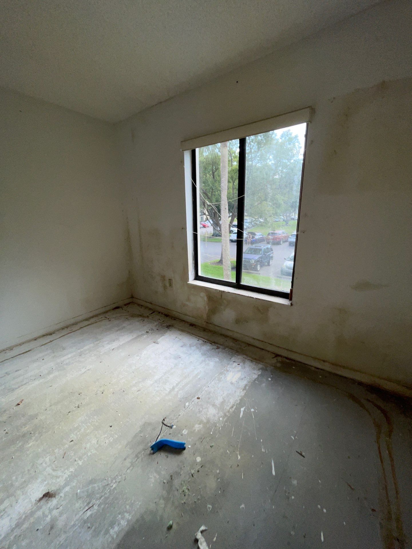 Horder house with Mold and Bacterial Contamination Issues  by Bay Coast Restoration 