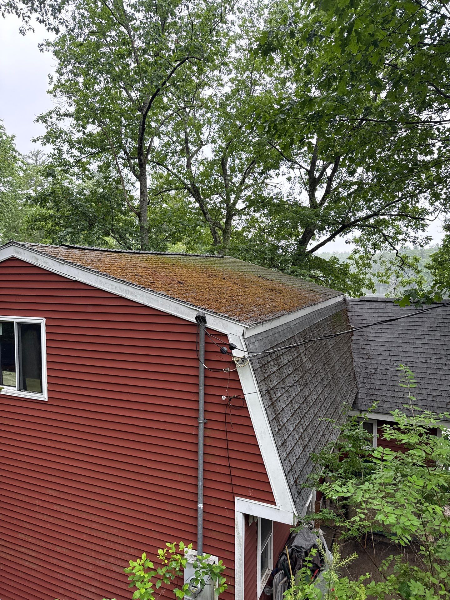 Leak Repair & Roof Wash – Groton, MA by Mighty Dog Roofing of Greater Middlesex County