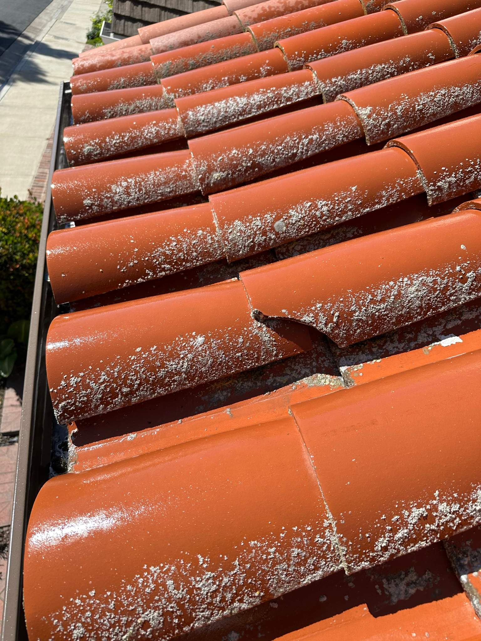 Orange County Clay Tile Roof Soft Wash on Unwalkwable Roof by Property Cleaning Experts