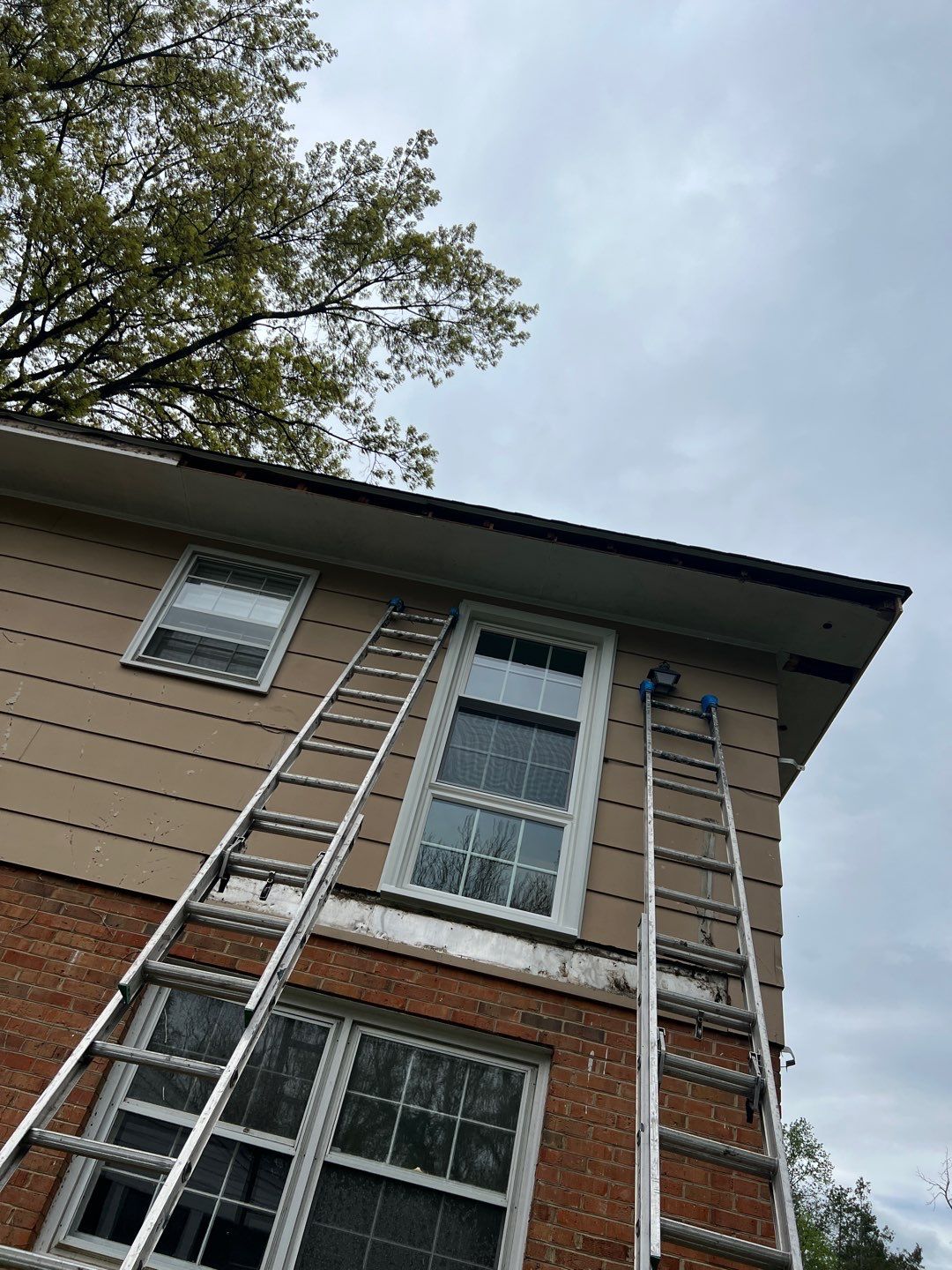 Arlington: Multi-Trade Exterior Remodel by RM Banning, Inc.