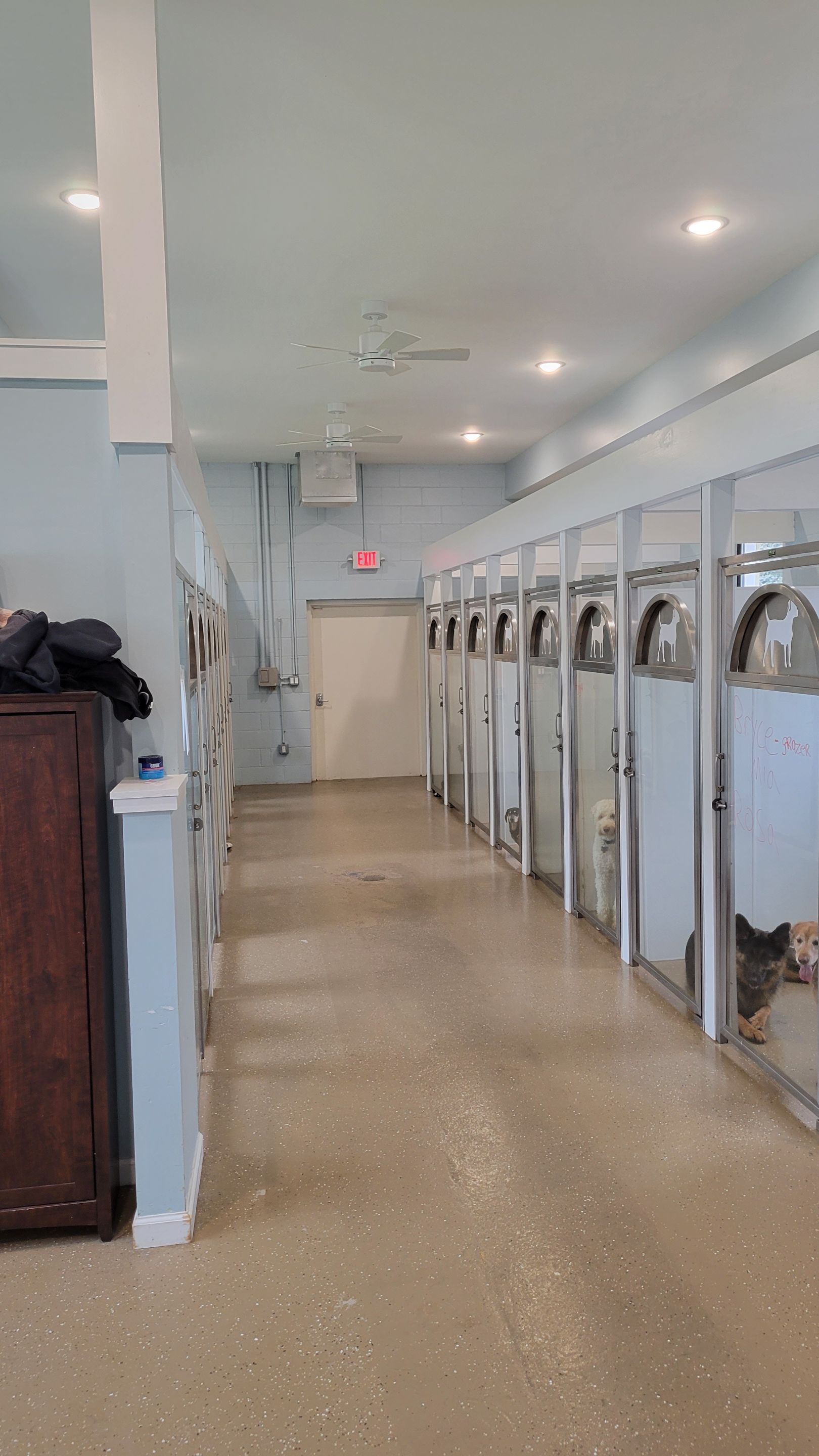 Kennel Floor Coating and Wall Painting using Penntek by Spectrum Painting, LLC