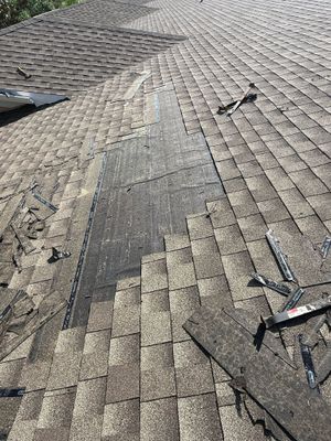 Project in Trinity