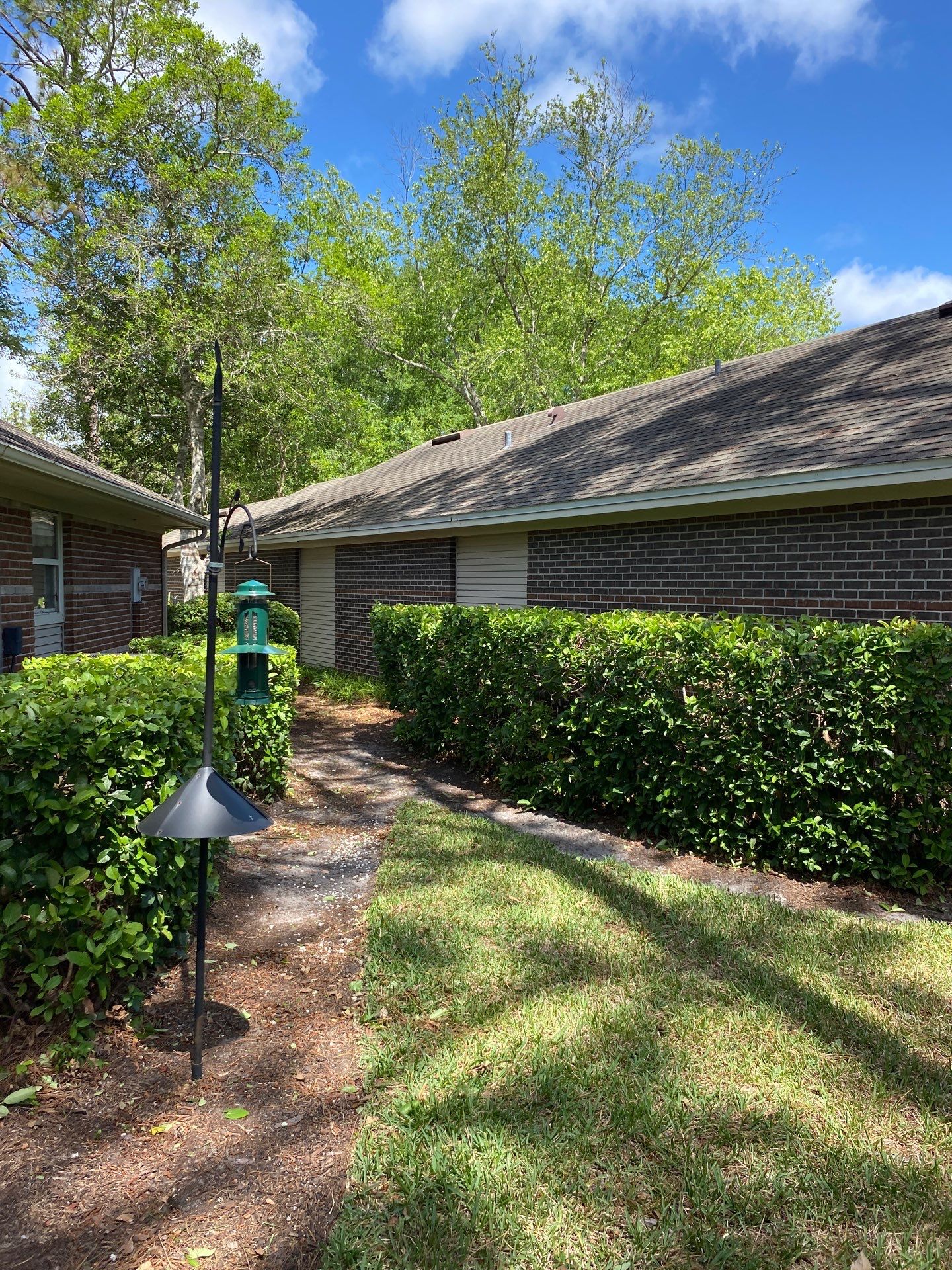 Residential | Volunteer Clean-Up by ProGreen Services