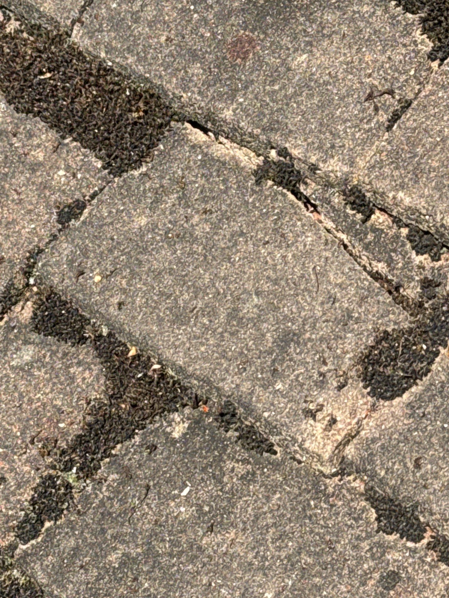 Roof Patio Driveway Clean using Mosmatic FSC and Biocide by Ges Exterior Cleaning ltd