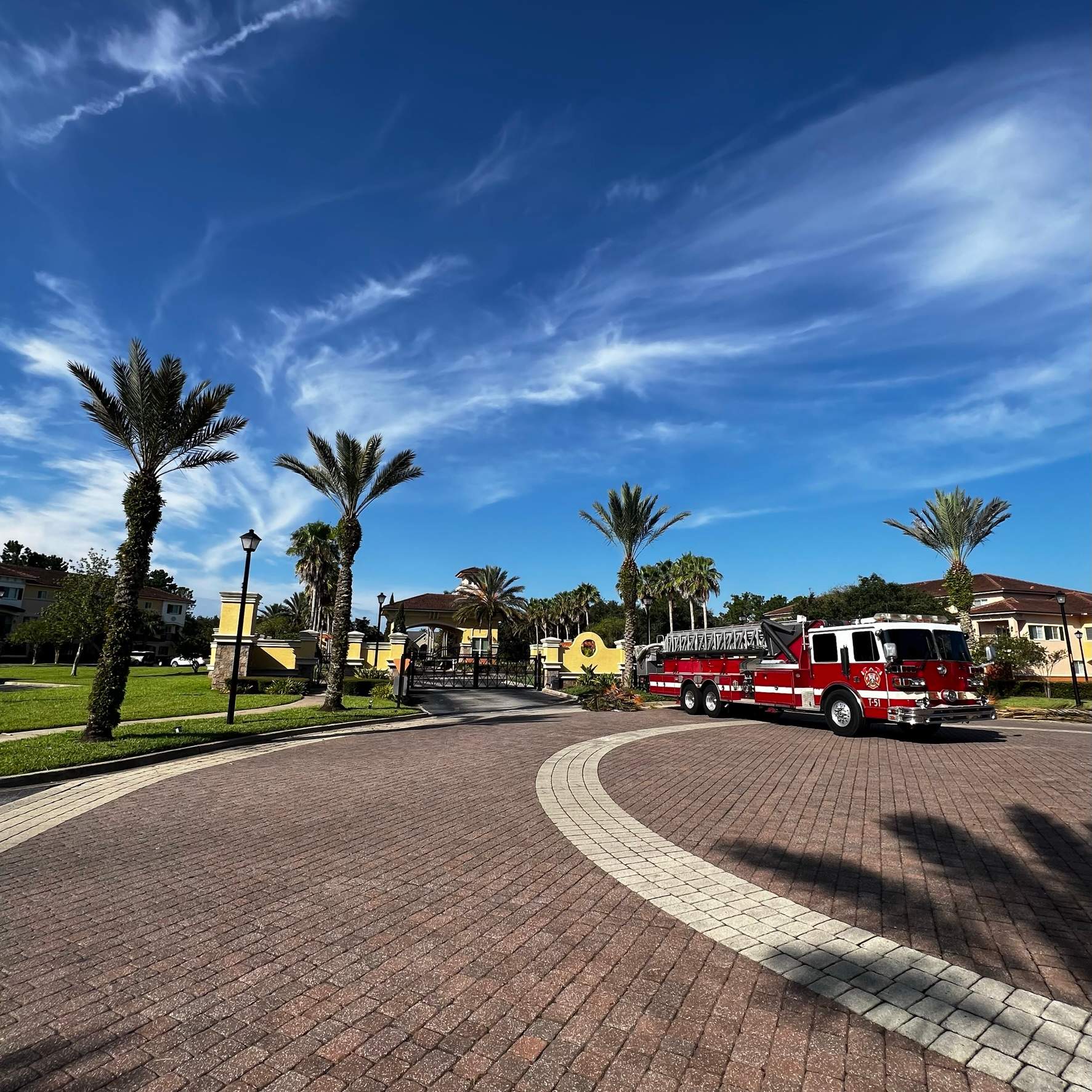 Palm Tree Trimming | IL Villagio Condominiums by ProGreen Services