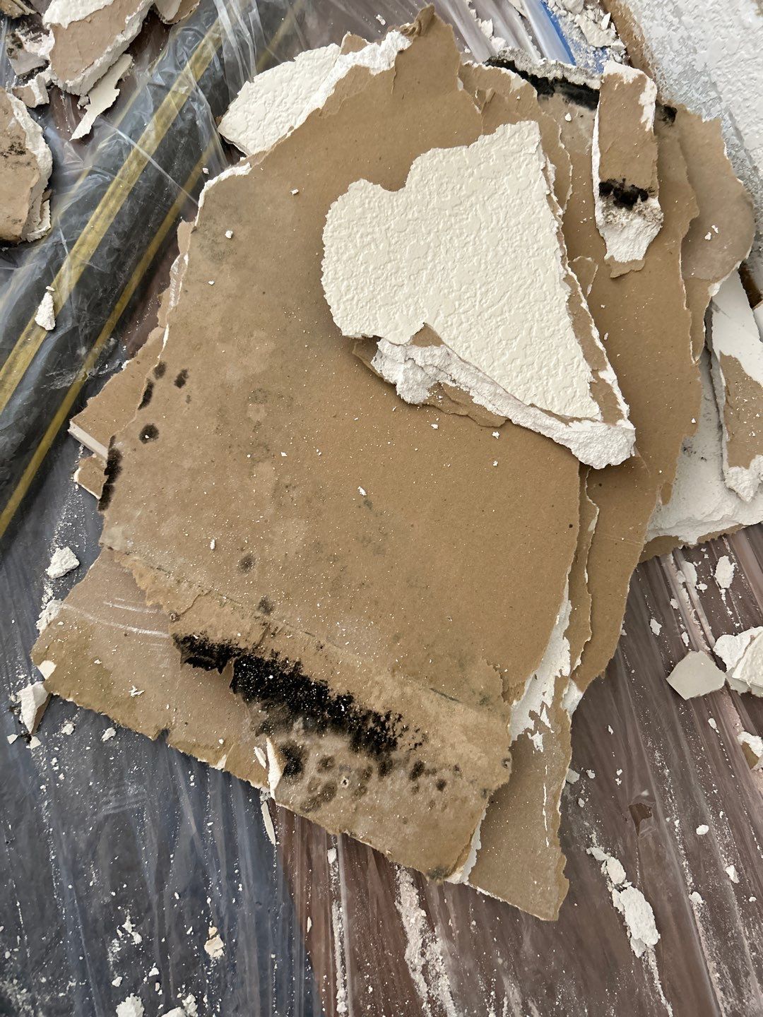 Mold Remediation by Accountable Home Services