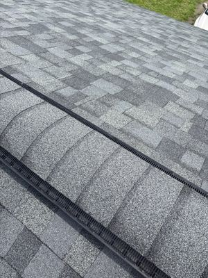 New Ocala Shingles in September