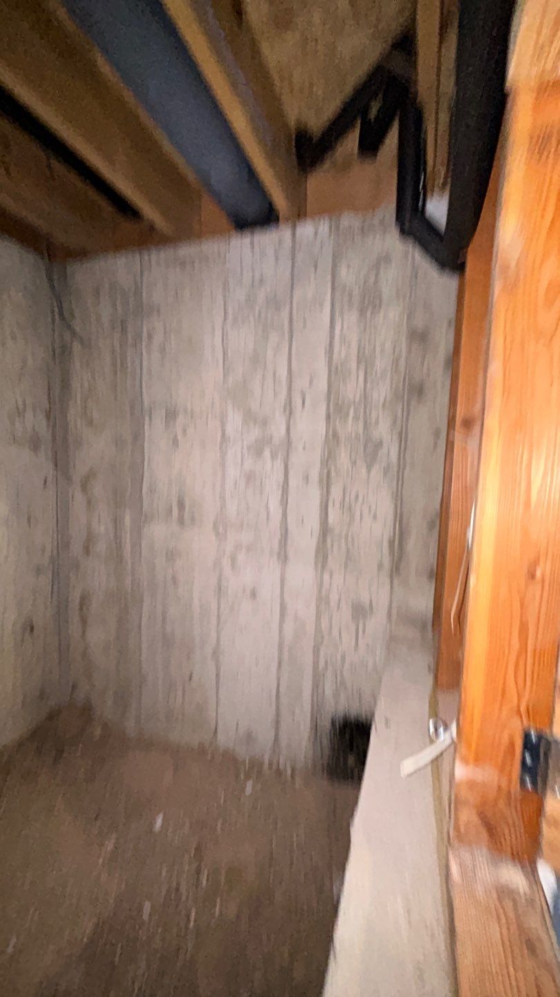 Mold Damage by Accountable Home Services