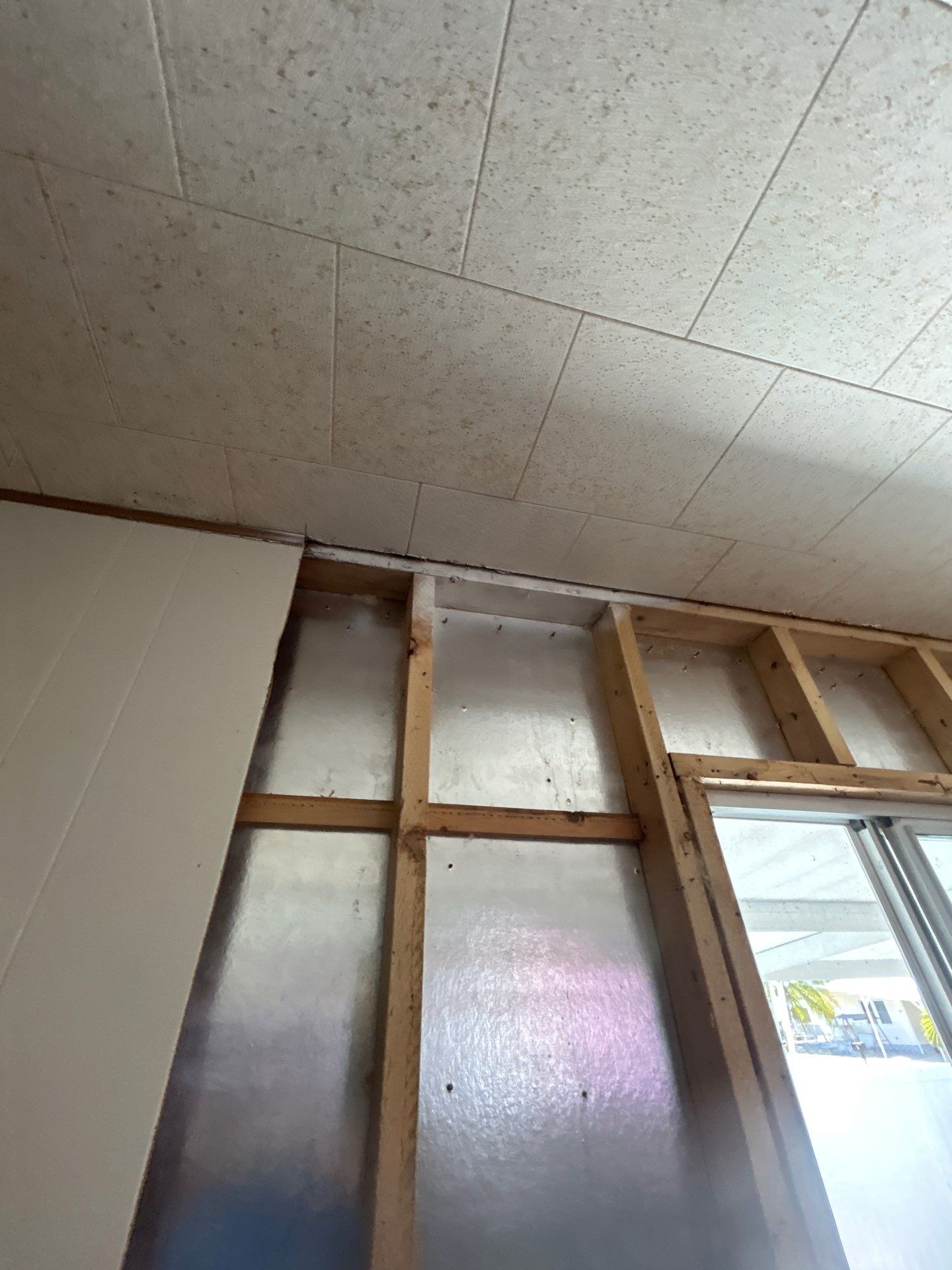 Mold Remediation Bradenton by Ampm Restoration Services 