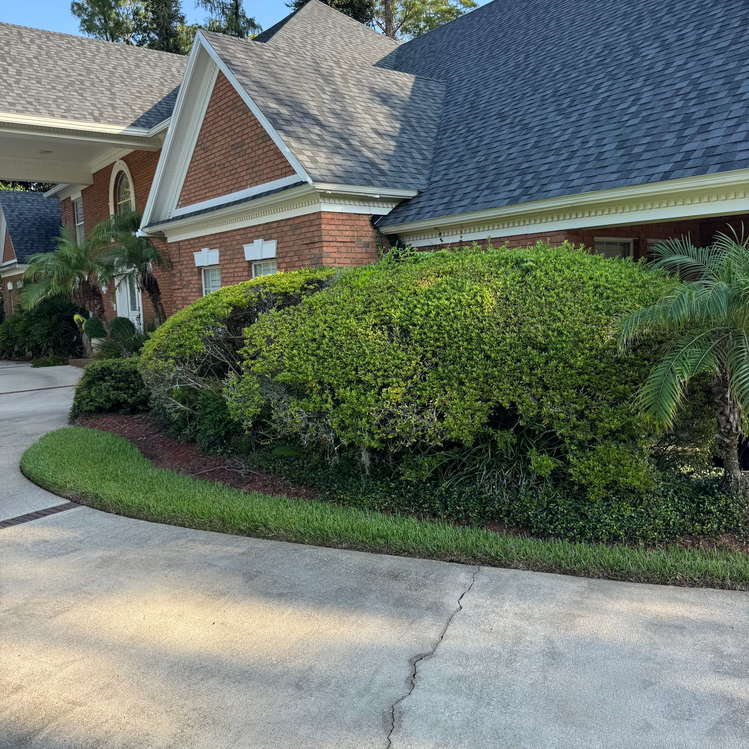 Deerwood Resident | Clean-Up by ProGreen Services