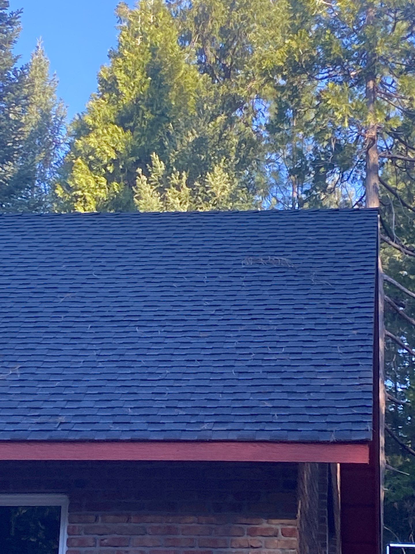 Roof Rejuvenation using Roof Maxx Treatment by Roof Maxx of Folsom