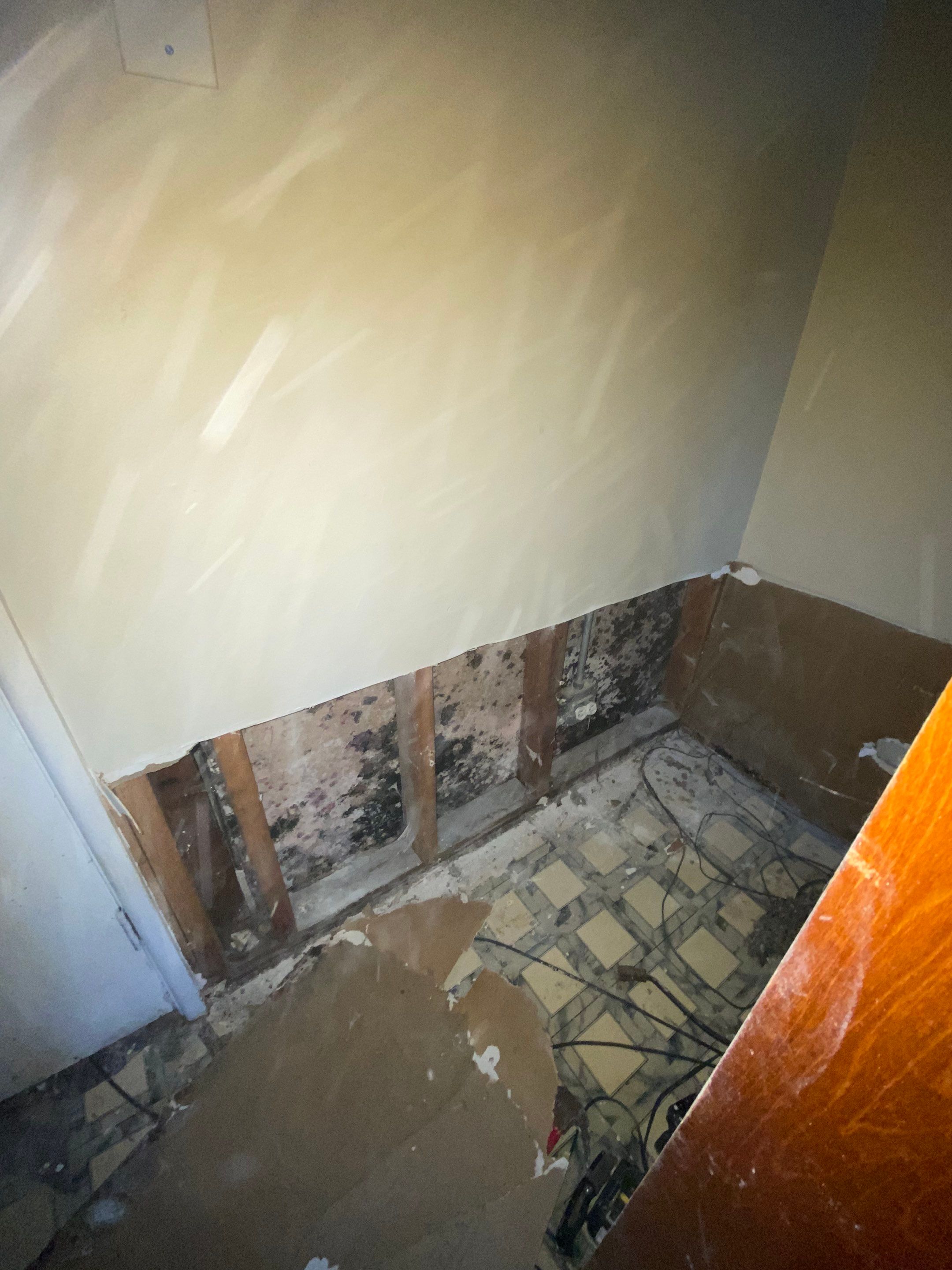 Mold Remediation Project by Chicagoland Water Medics