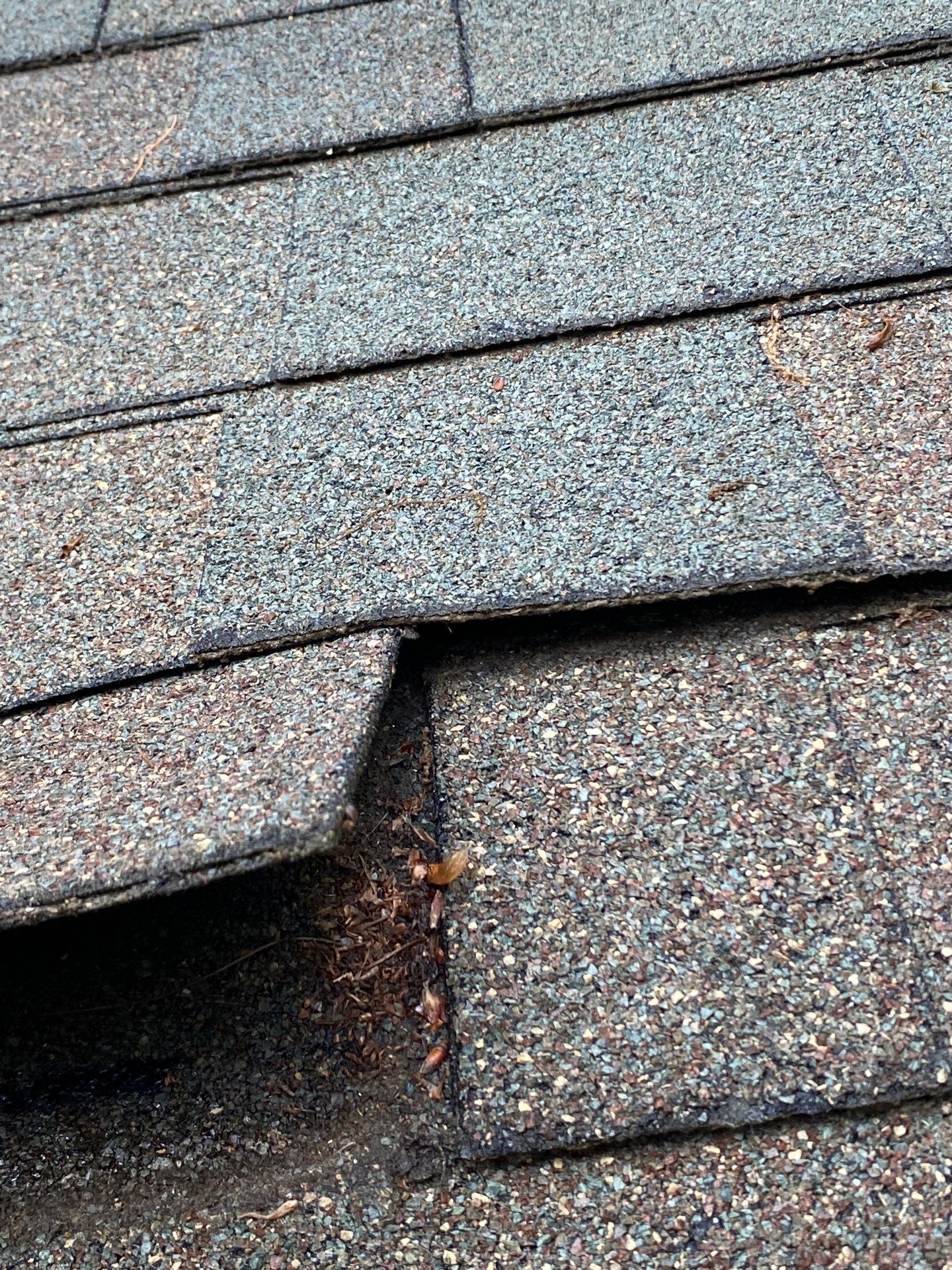Roofing | Chelmsford by Mighty Dog Roofing of Greater Middlesex County