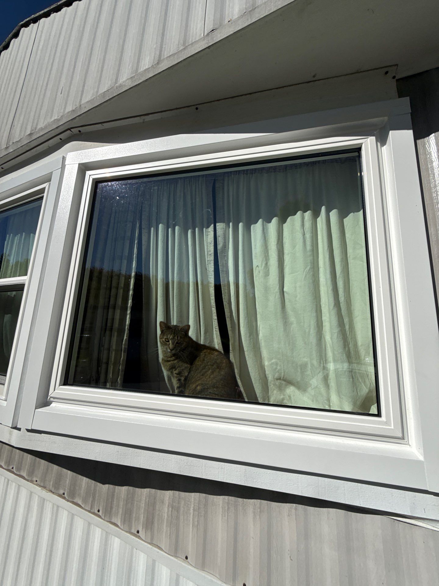 Door and windows by Aspen Home Improvements