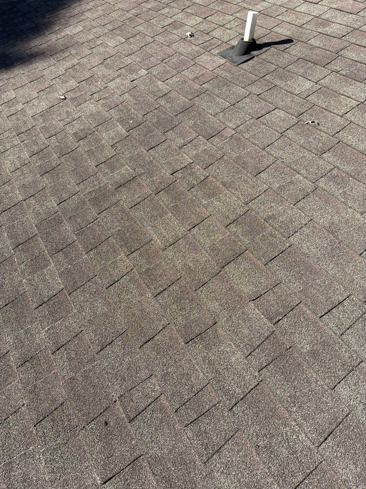 The Wilkins by United Contracting and Roofing