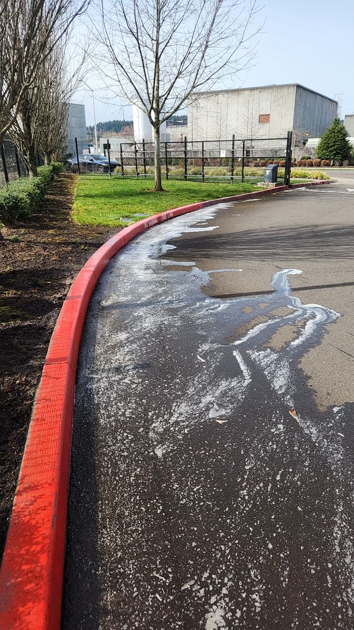 Soft Wash using Soft wash solution by Willamette Outdoor Wash LLC