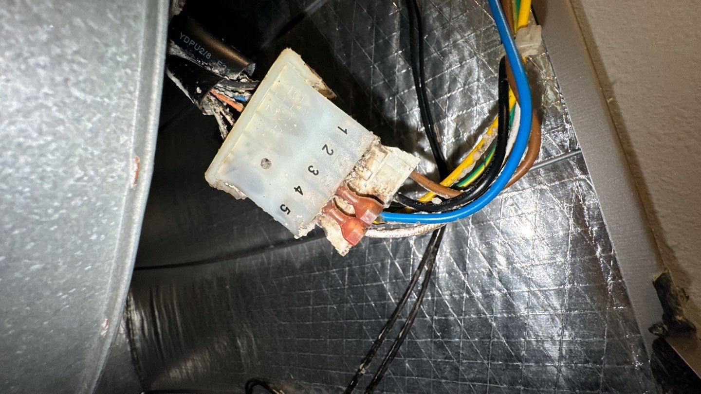 Air Duct Cleaning in Clermont by Hygienic Air, Inc