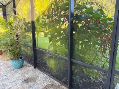 Pool Cage Cleaning | Rye Wilderness, Bradenton FL