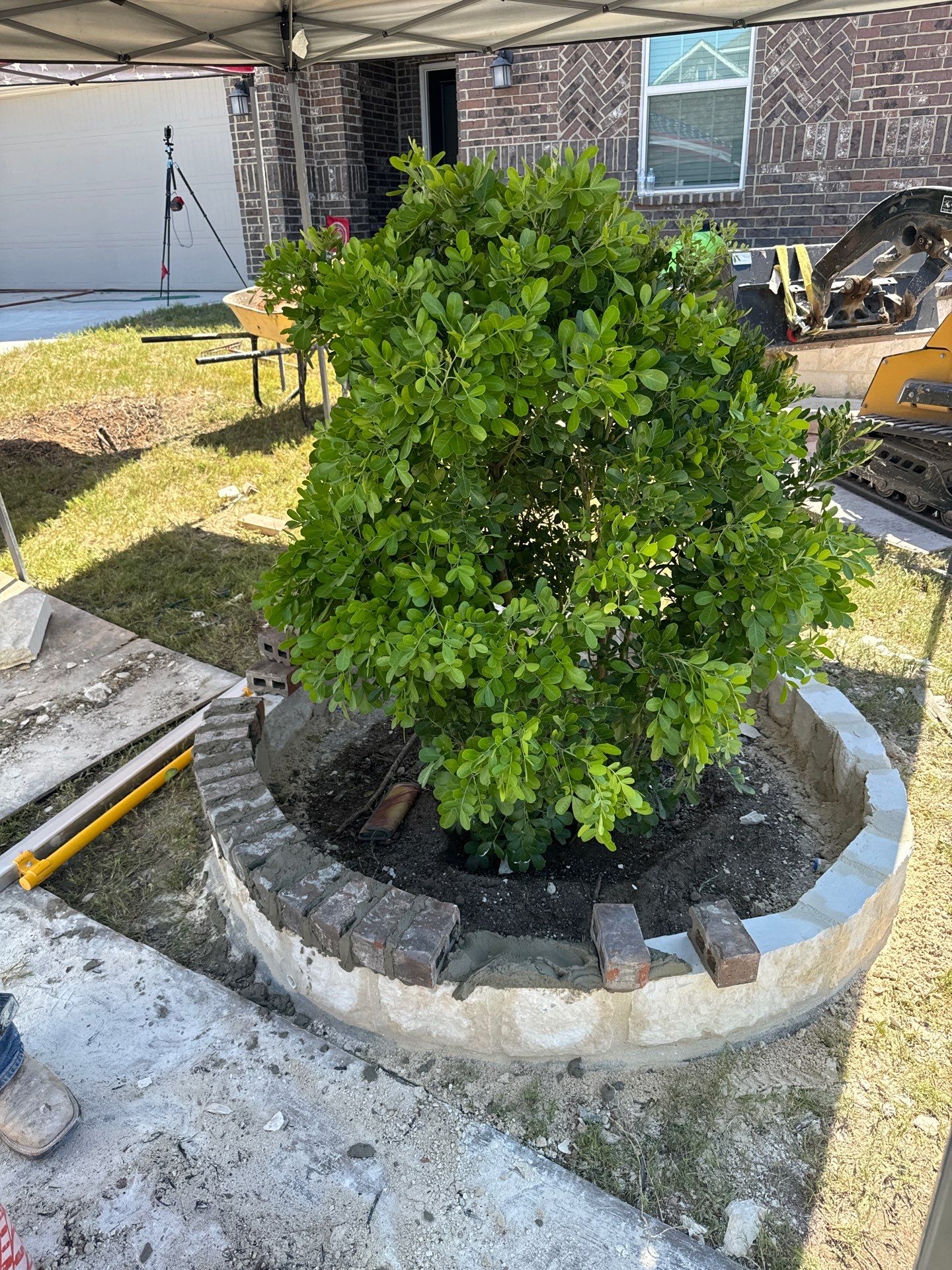 Wortham Oaks - San Antonio, TX by Hole In One Lawns, LLC