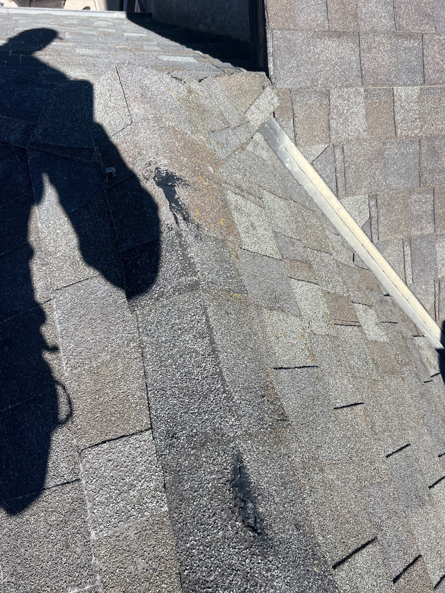 Roof Rejuvenation using Roof Maxx Treatment by Roof Maxx of Folsom