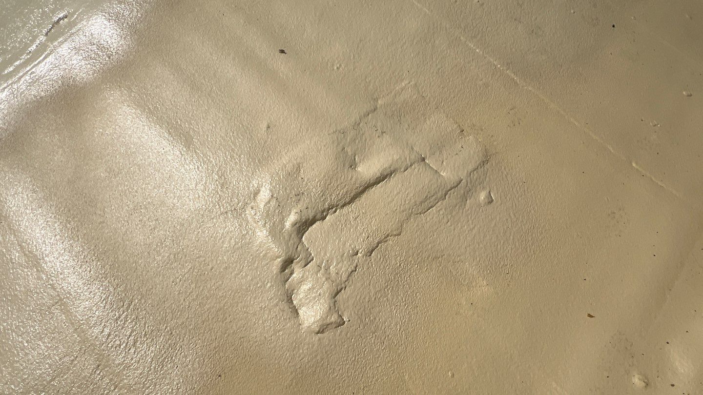 Foam Refurbish using Conklin Benchmark/PUMA XL coatings and spray foam by Straight Edge Roofing Inc