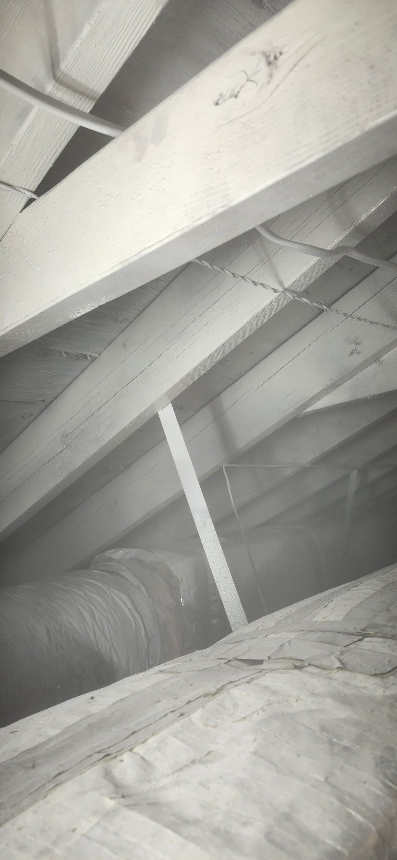 Attic Mold Remediation in Montville, NJ by Pure Service Pro, LLC