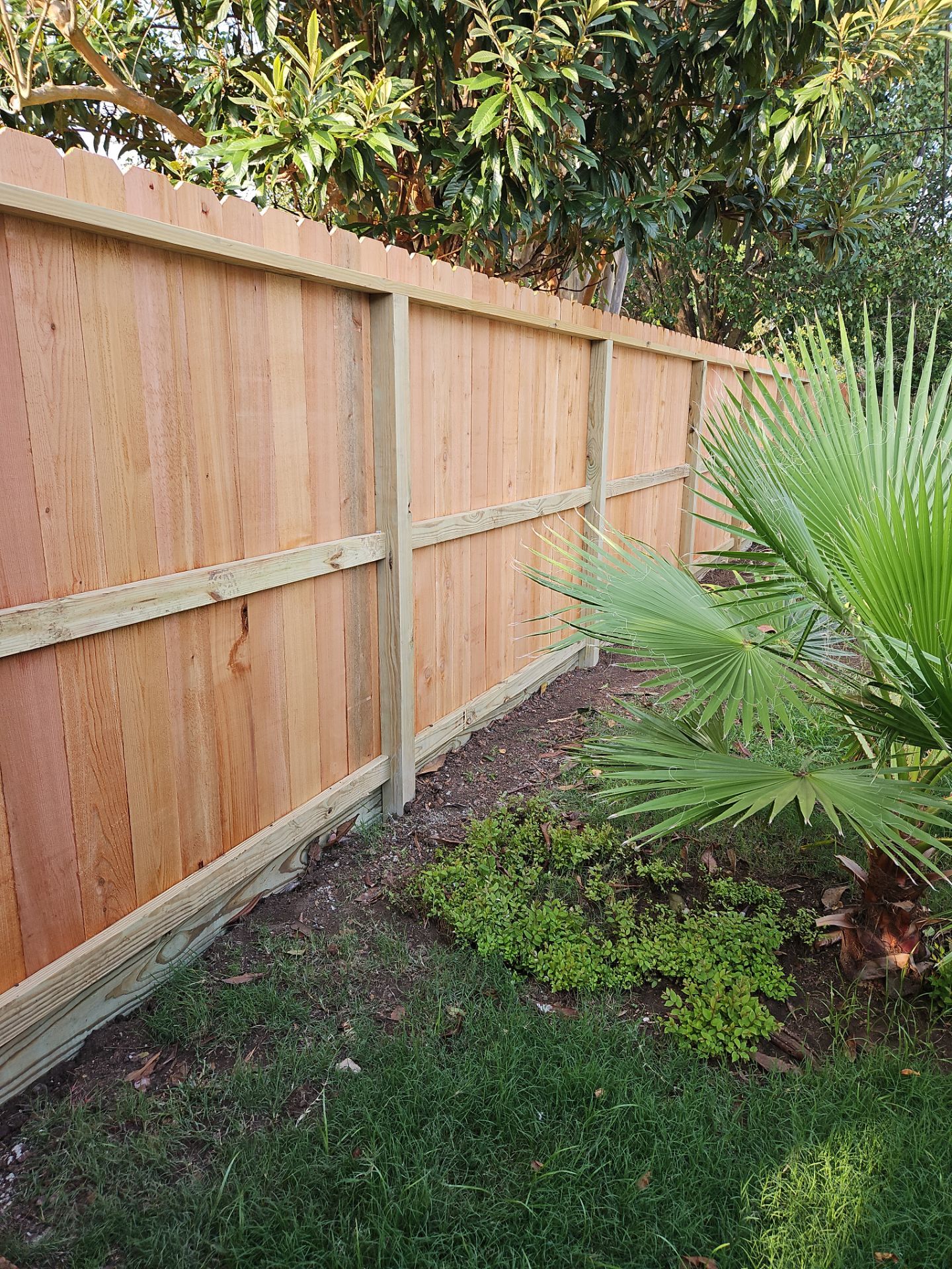 Poolside Perfection by Tim's Fences