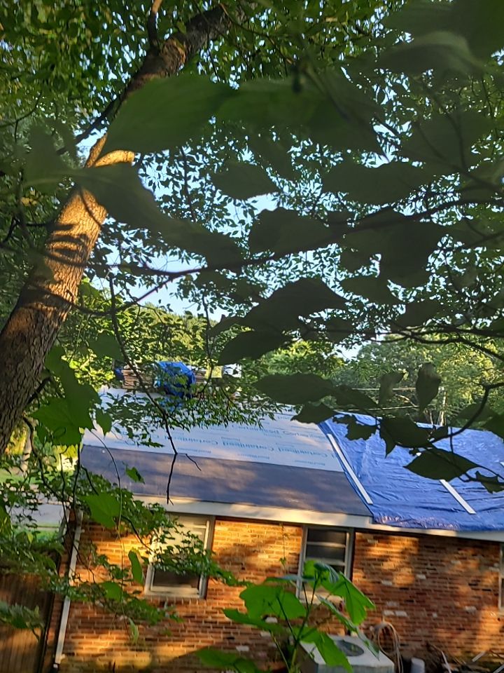 Springfield Tree Damage Restoration: CertainTeed Landmark Designer Shingles in Charcoal Black by RM Banning, Inc.