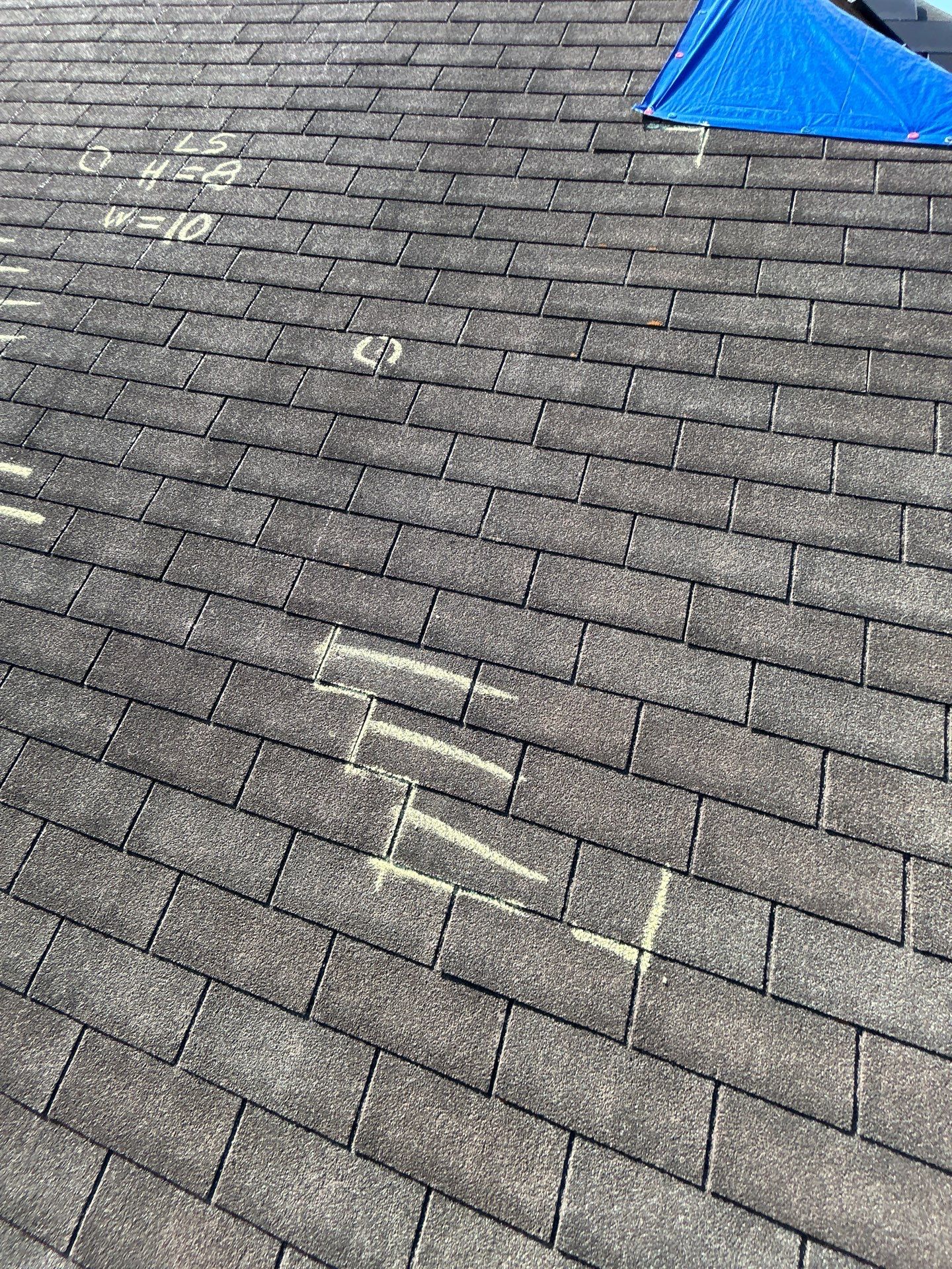 Miss Bridgette by REPS Austin Area Roofer