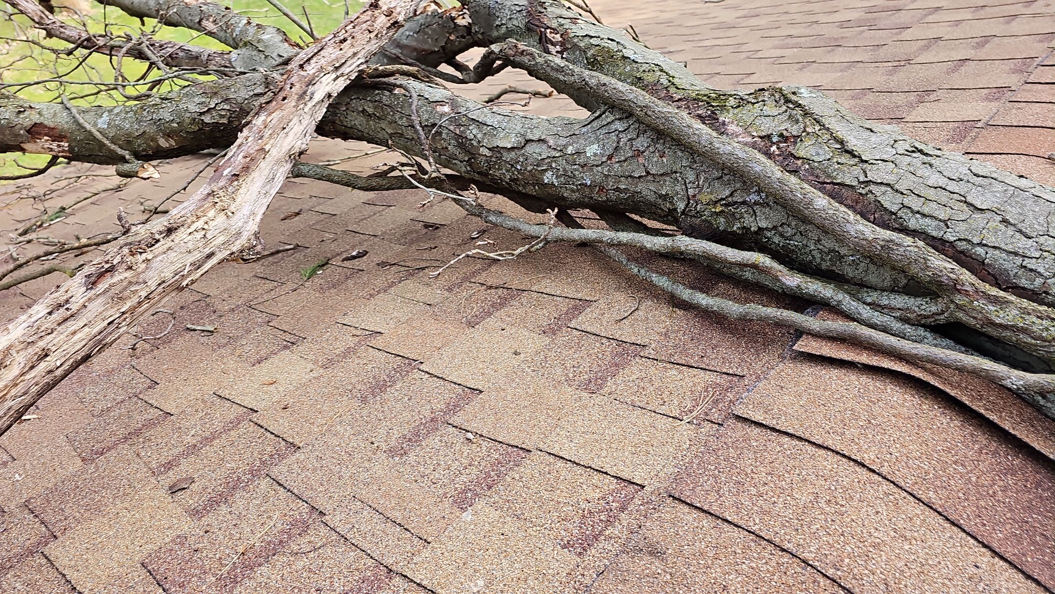 ATLAS PINNACLE COLOR: MORNING HARVEST by Eagle Eye Roofing