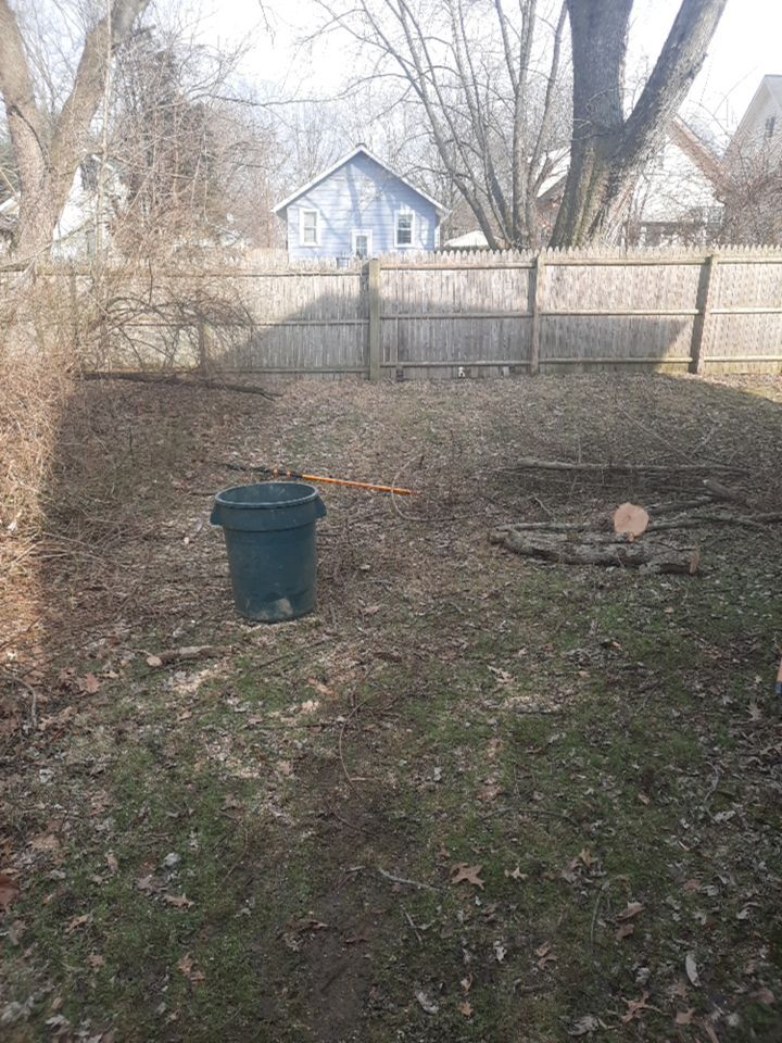 Tree Removal using Tree Removal by Mike Jones & Sons Tree Service LLC 