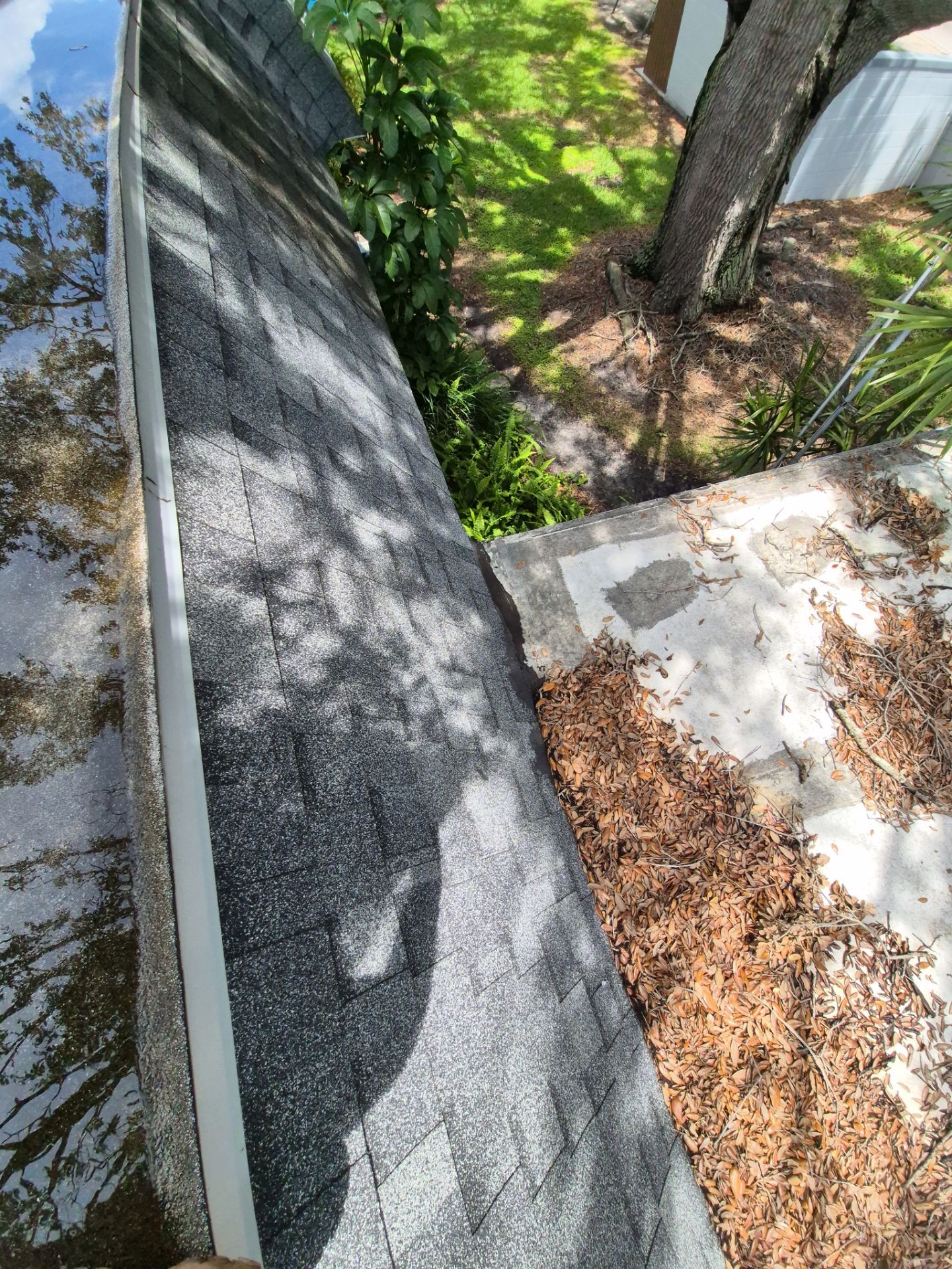 Project in Pinellas Park 33781 by Mitchell Roofing Company LLC