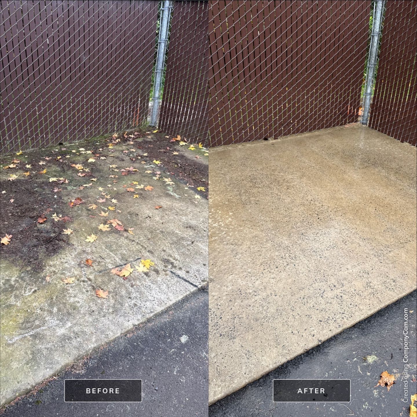 Animal Shelter Deep Clean: Roof Restoration & Concrete Surfaces by Rolling Suds of Oregon Coast – Salem
