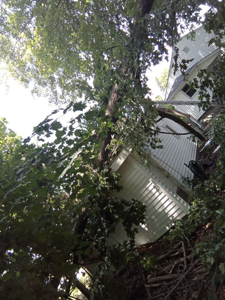 Storm Damaged Tree Removal  using Tree Removal by Mike Jones & Sons Tree Service LLC 
