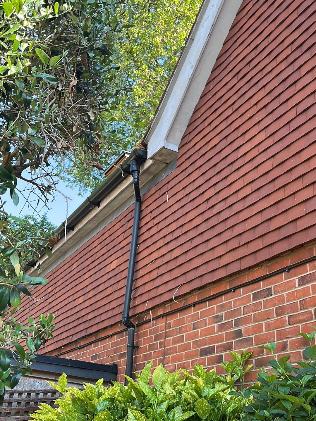 Roof Clean - Biocide Treatment using Honda 15lpm Low Pressure Washing Machine by Ges Exterior Cleaning ltd