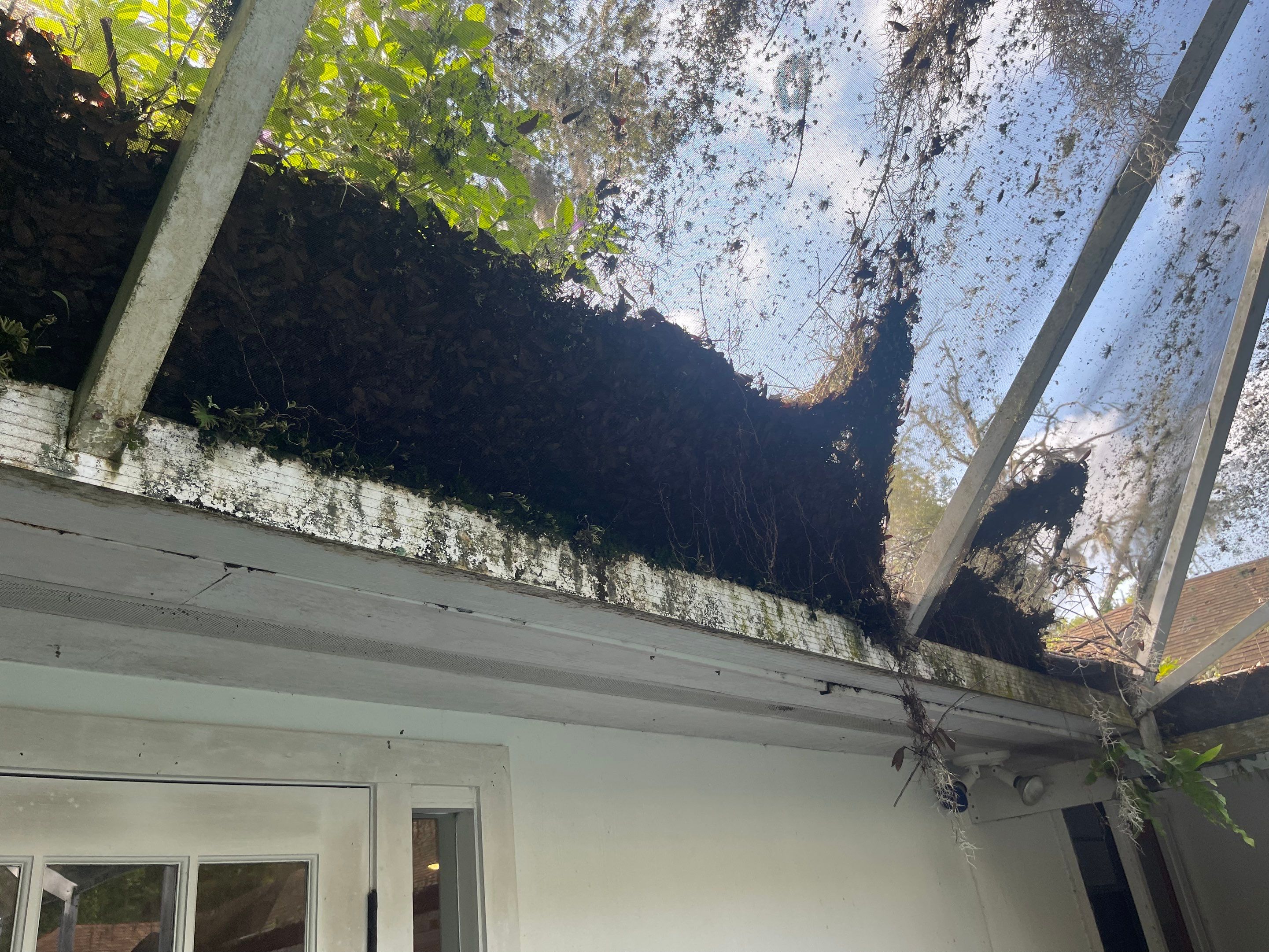 Water Damage Claim in Ormond Beach by FLAPA & KeyStone