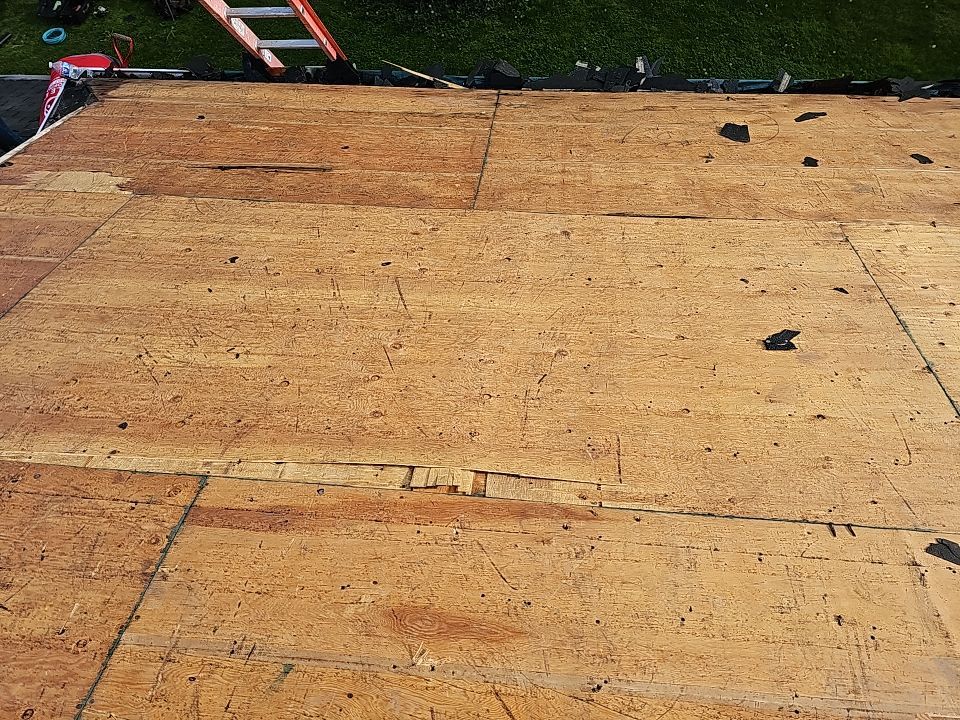 ATLAS PINNACLE COLOR: SUMMER STORM DRIP EDGE: WHITE by Eagle Eye Roofing