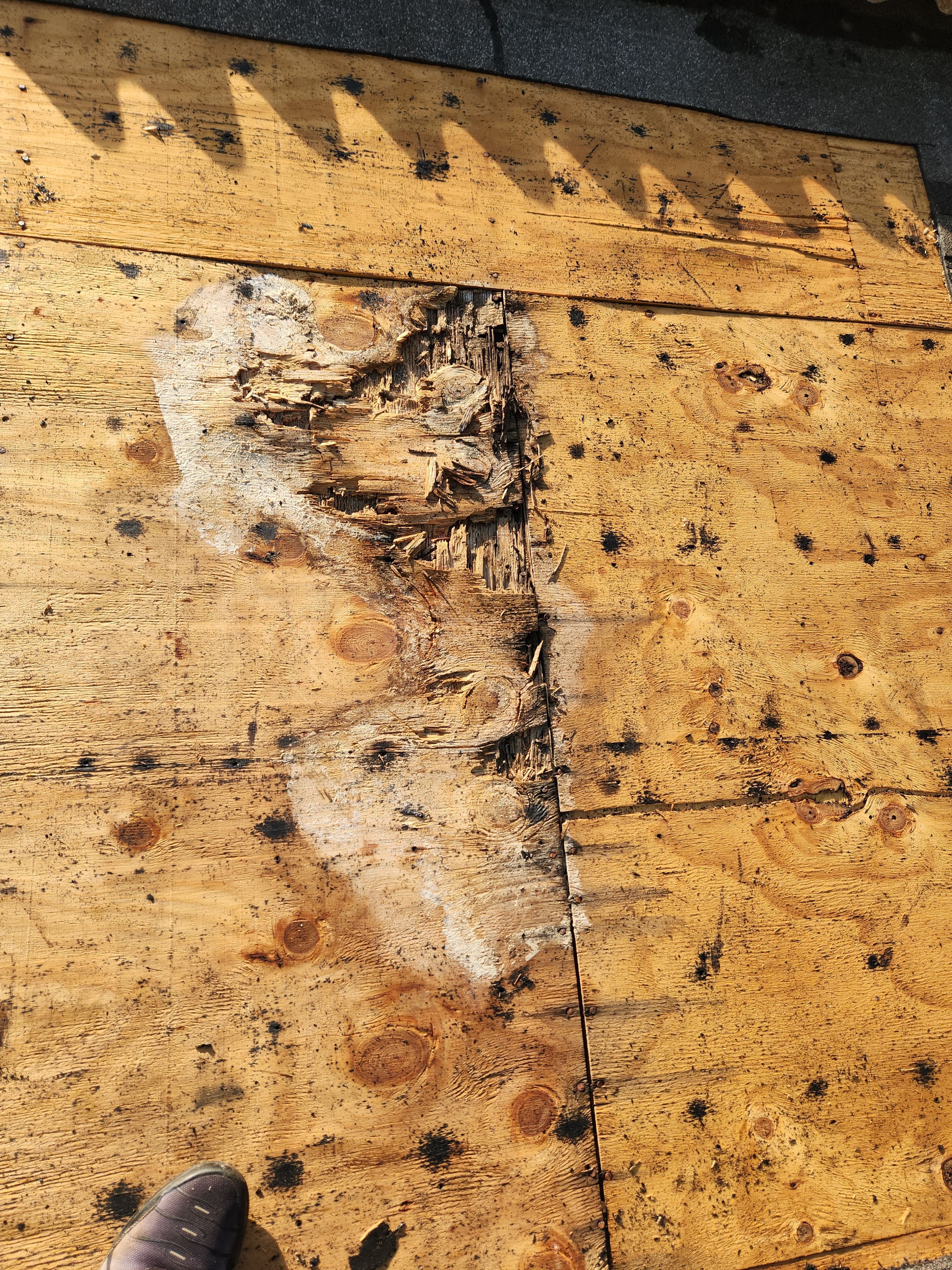 Concrete Tile Roof Repair for Water Intrusion in West Palm Beach by Aastro Roofing
