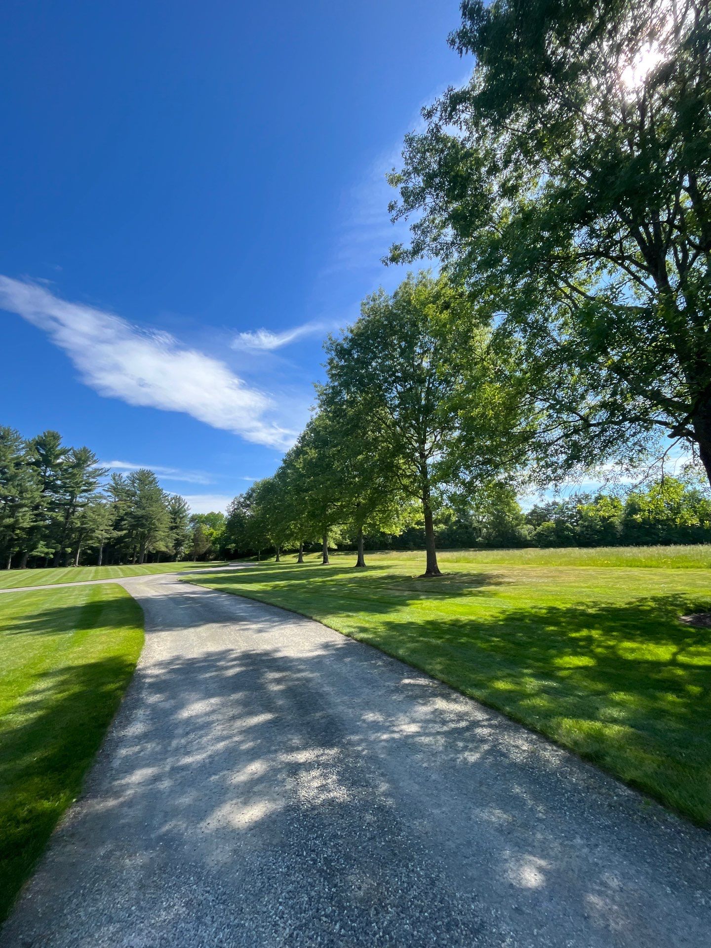 Professional Lawn Care for Far Hills Estate by Ants Plants