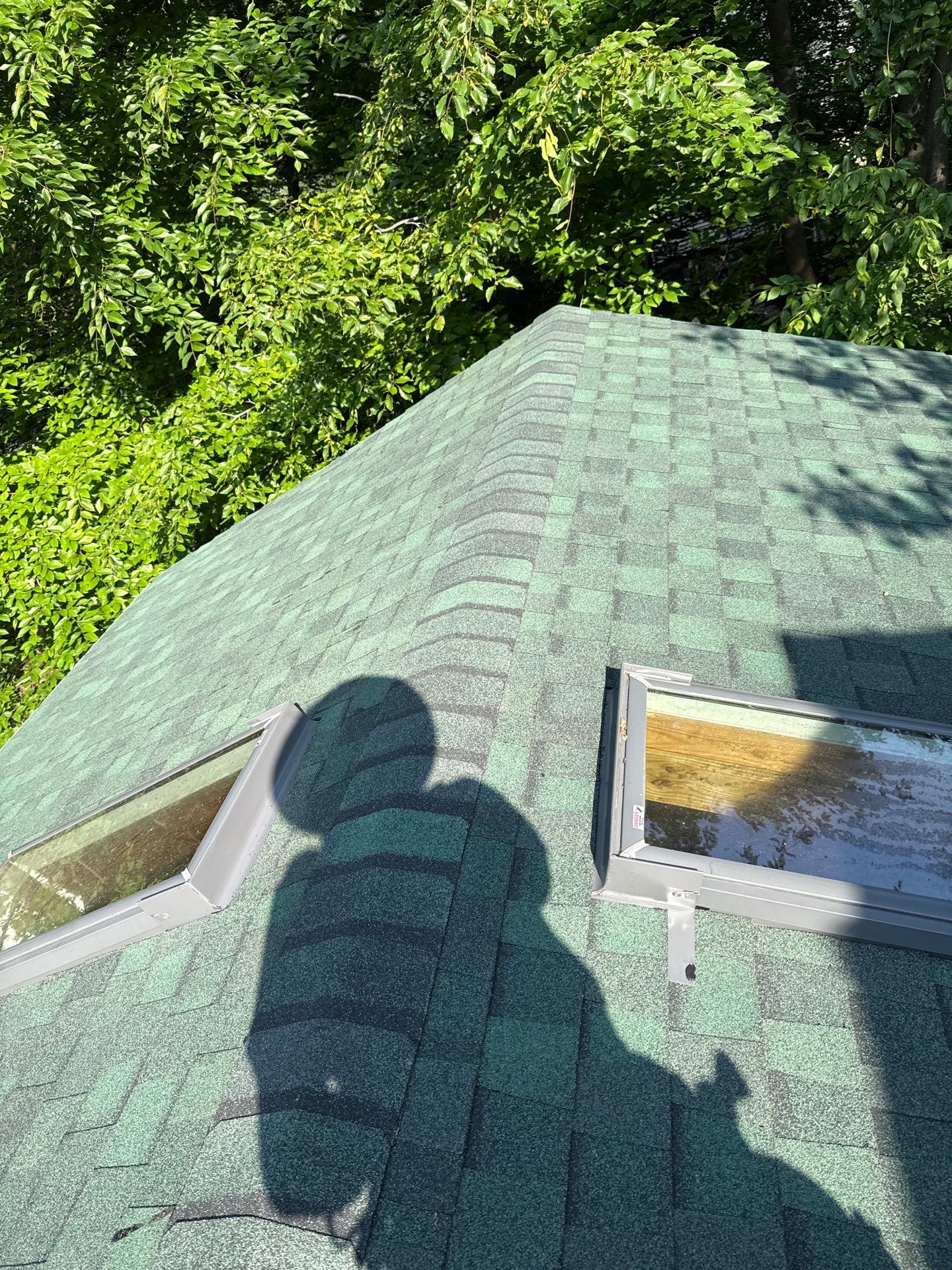 Springfield: Roof Replacement with CertainTeed Landmark Pro in Max Def Evergreen by RM Banning, Inc.